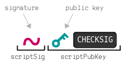 A diagram showing the setup of a P2PK before script execution.