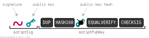 A diagram showing the setup of a P2PKH before script execution.