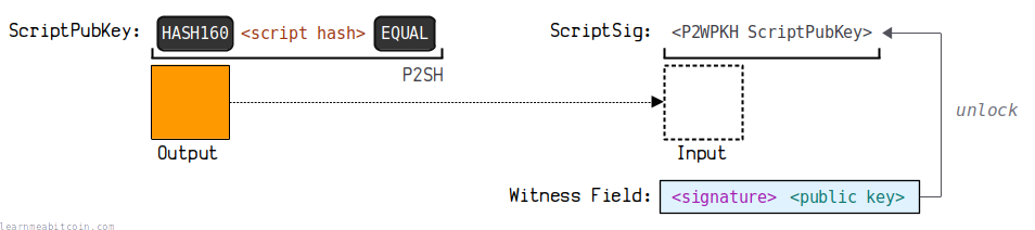 A diagram showing the structure of the Witness field for a P2SH-P2WPKH.