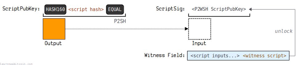 A diagram showing the structure of the Witness field for a P2SH-P2WSH.